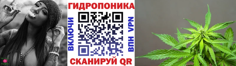 Какие есть наркотики Мариинский Посад Конопля  Cocaine  A PVP  ЭКСТАЗИ  Гашиш 