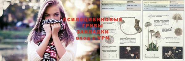 кокаин колумбия Белокуриха