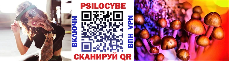 Псилоцибиновые грибы Cubensis  мориарти как зайти  Мариинский Посад  где можно купить  